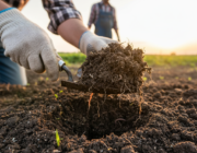 Bekijk deze afbeelding van de blog De Onzichtbare Hulp: Hoe Biologische Landbouw Koolstof Vastlegt en het Klimaat Redt en  op Bedrijf
