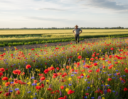 Bekijk deze afbeelding van de blog Biologische Boeren als Bewaarders van Biodiversiteit: Een Groene Revolutie op het Platteland en  op Bedrijf